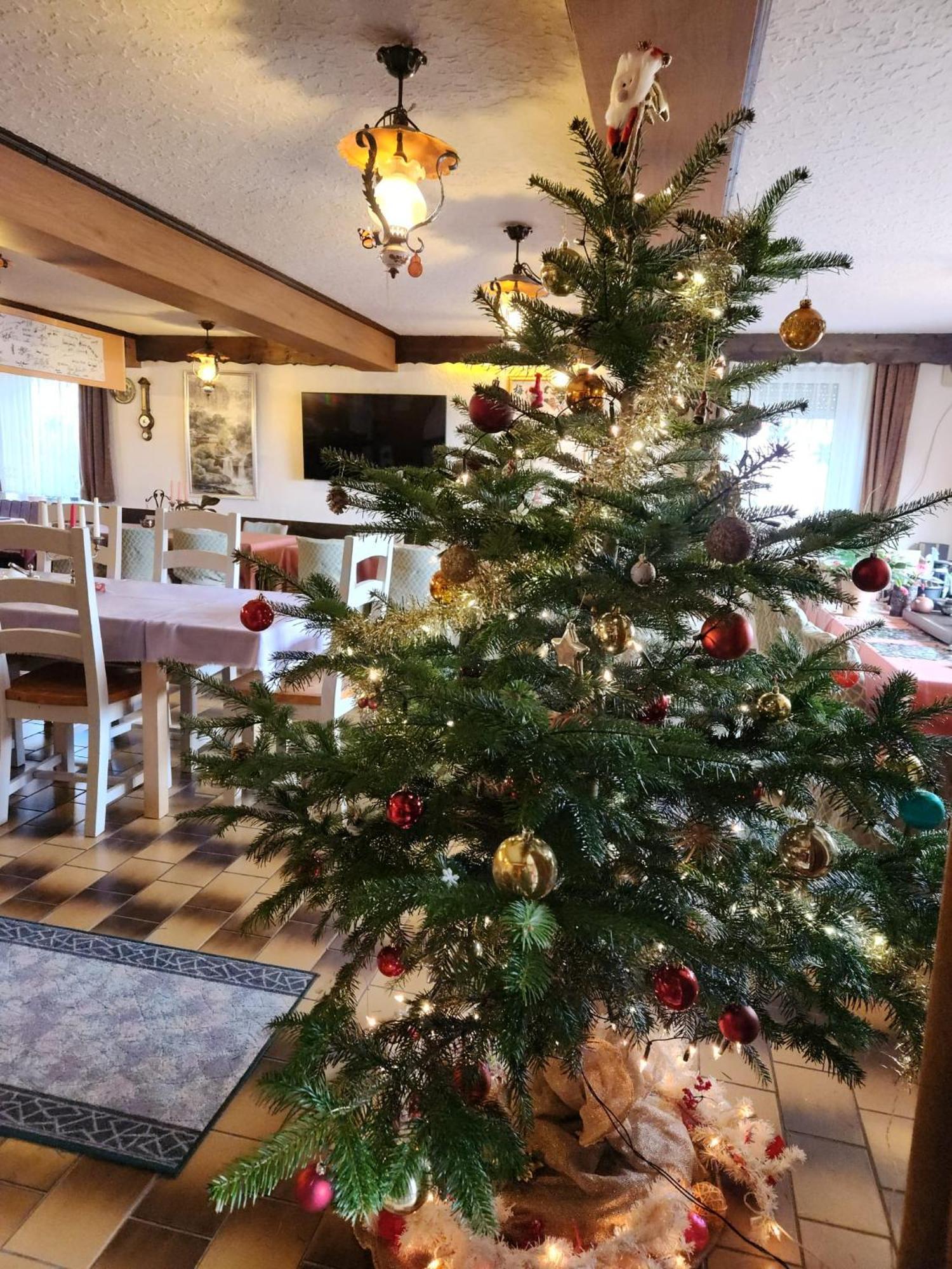 Gasthaus Hochwald Hattgenstein Dış mekan fotoğraf
